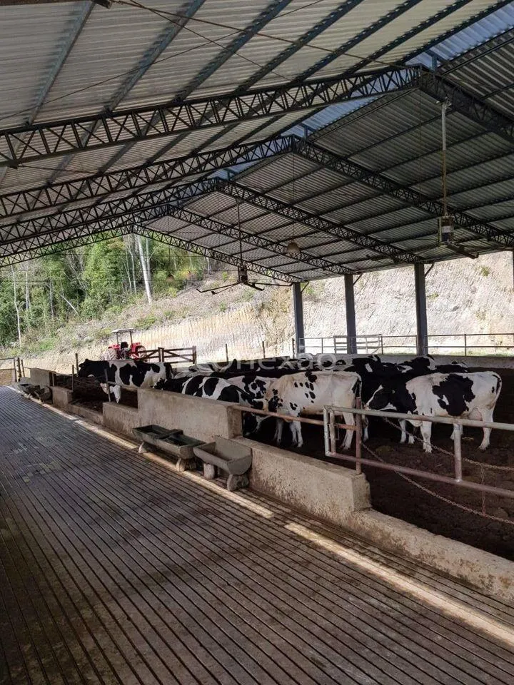 Fazenda à venda de 120 ha em São Luiz do Paraitinga, SP, Brasil