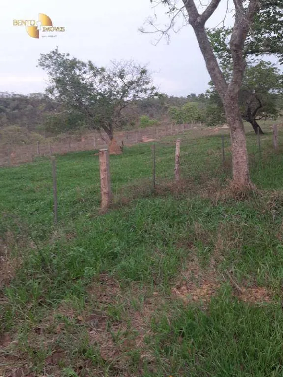 Fazenda à venda de 400 ha em Guiratinga, MT, Brasil