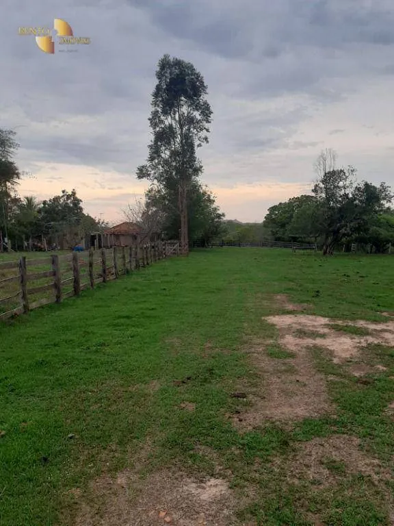 Fazenda à venda de 400 ha em Guiratinga, MT, Brasil