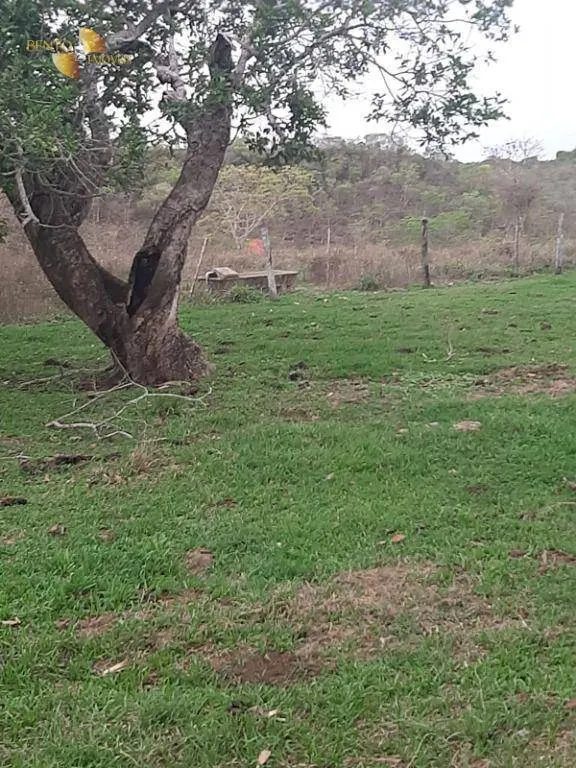 Fazenda à venda de 400 ha em Guiratinga, MT, Brasil