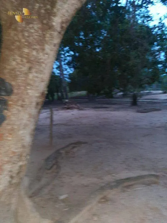 Fazenda à venda de 400 ha em Guiratinga, MT, Brasil
