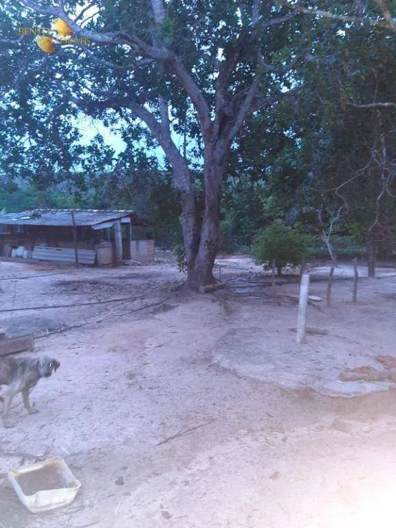 Fazenda à venda de 400 ha em Guiratinga, MT, Brasil