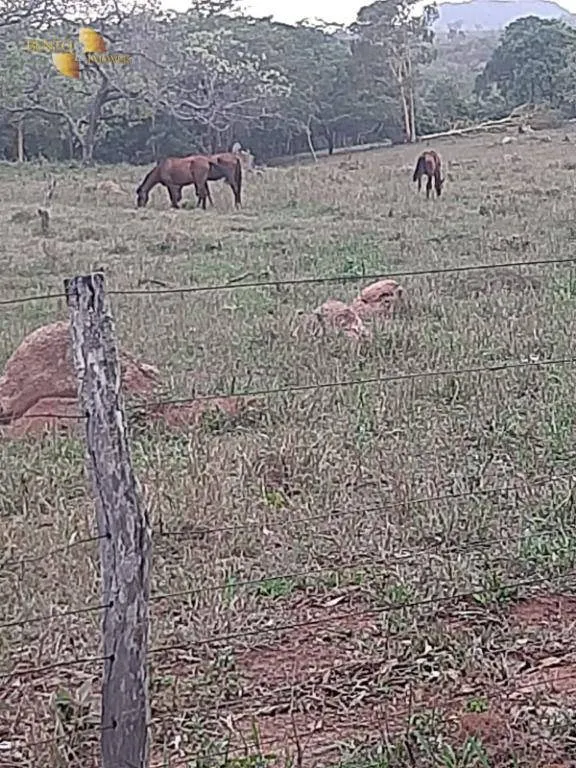 Fazenda à venda de 400 ha em Guiratinga, MT, Brasil