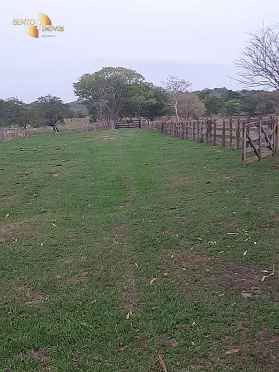 Fazenda à venda de 400 ha em Guiratinga, MT, Brasil