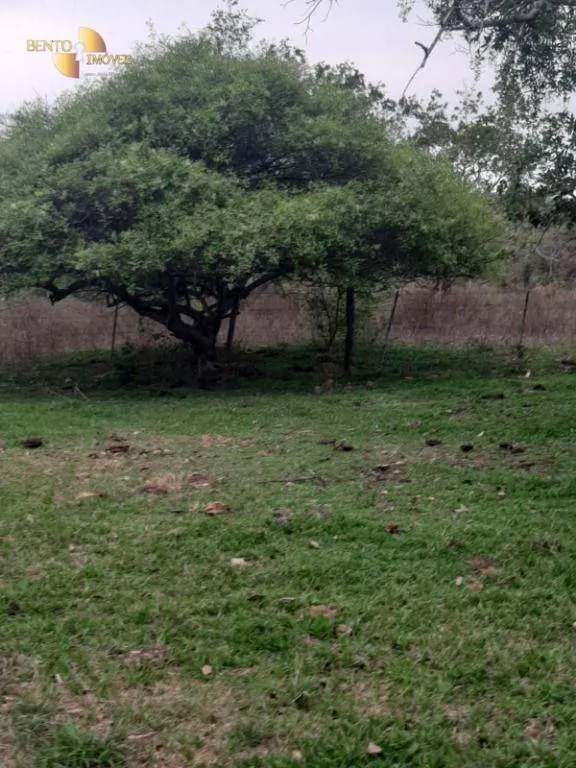 Fazenda à venda de 400 ha em Guiratinga, MT, Brasil