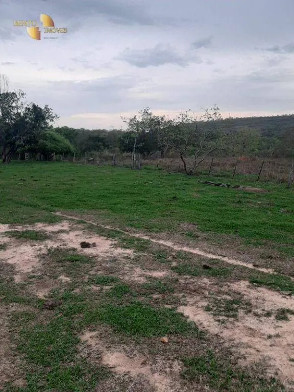 Fazenda à venda de 400 ha em Guiratinga, MT, Brasil