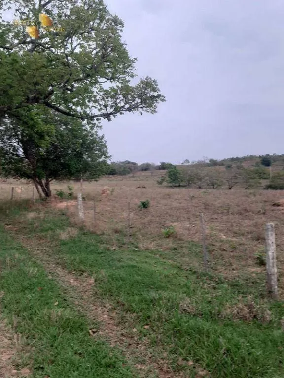 Fazenda à venda de 400 ha em Guiratinga, MT, Brasil