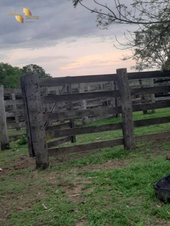 Fazenda à venda de 400 ha em Guiratinga, MT, Brasil