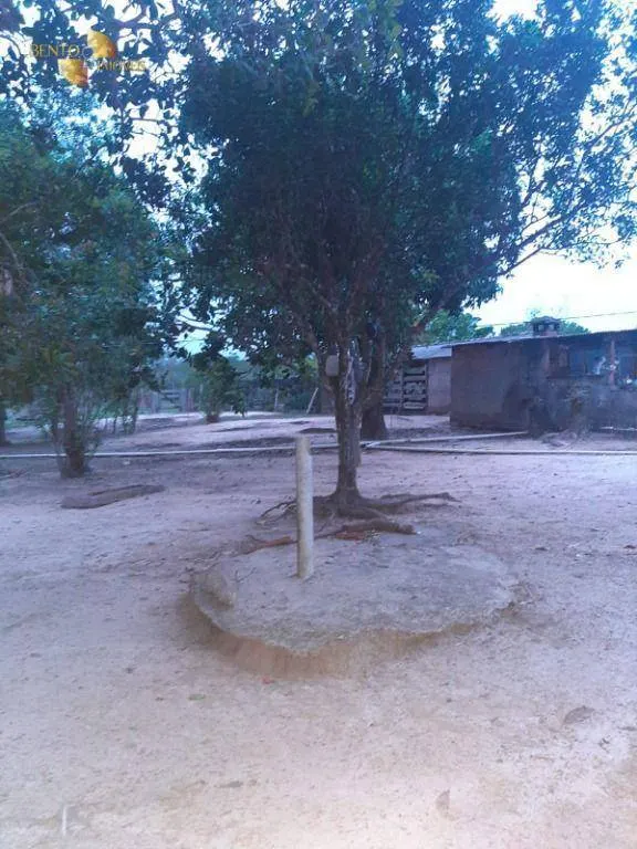 Fazenda à venda de 400 ha em Guiratinga, MT, Brasil