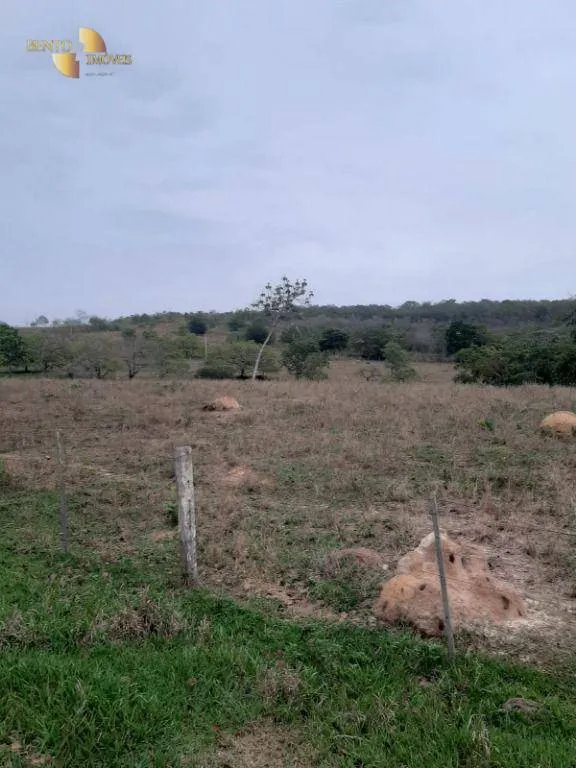 Fazenda à venda de 400 ha em Guiratinga, MT, Brasil