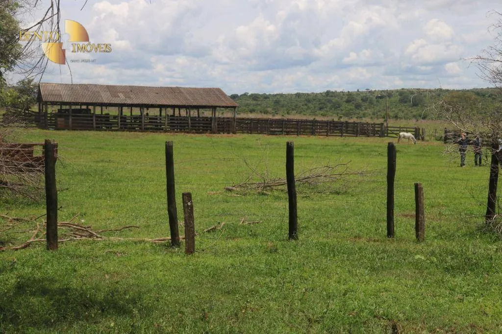 Fazenda à venda de 2.059 ha em Guiratinga, MT, Brasil