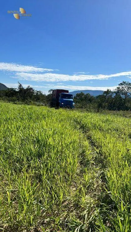 Farm for sale of 598 acres in Cáceres, MT, Brazil