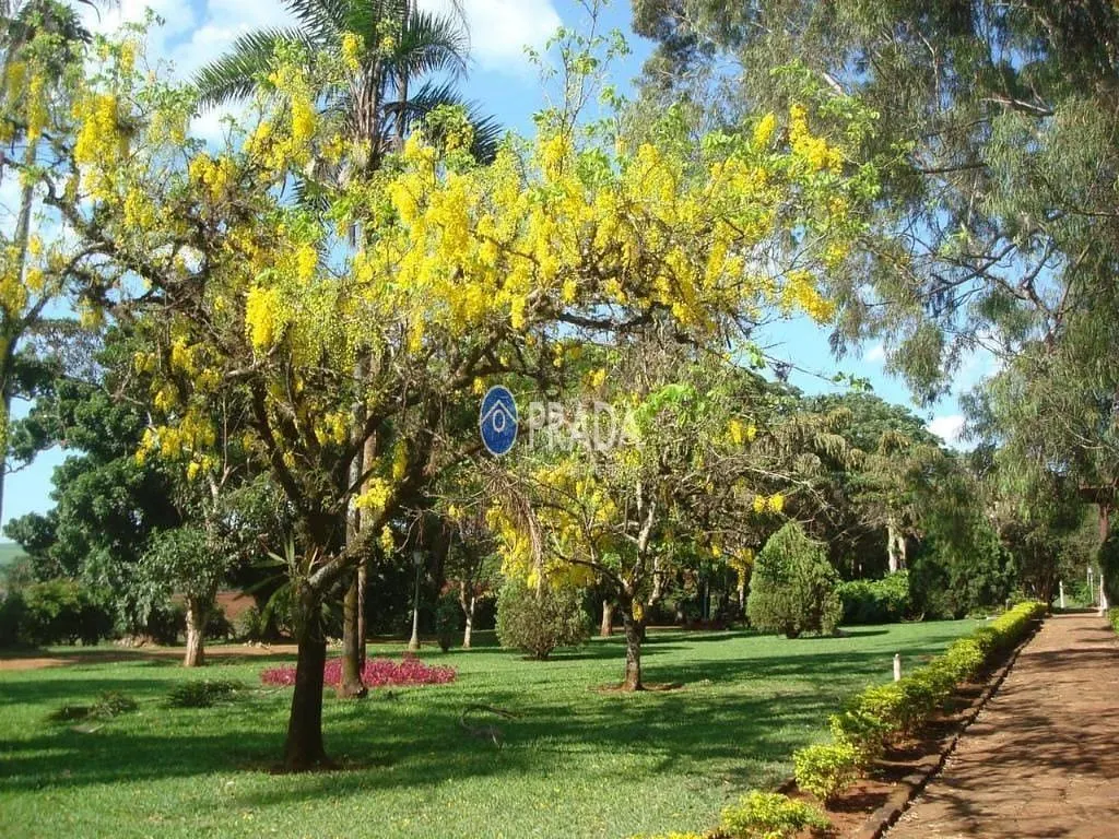 Fazenda à venda de 182 ha em Porto Ferreira, SP, Brasil
