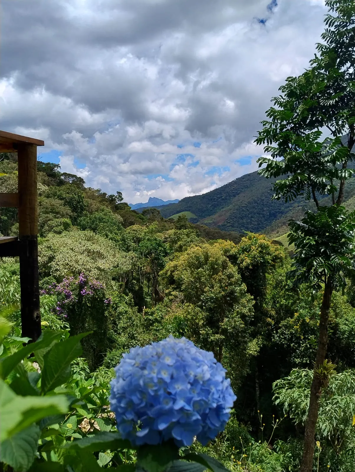 Cabana à venda de 19 ha em Bocaina de Minas, MG, Brasil