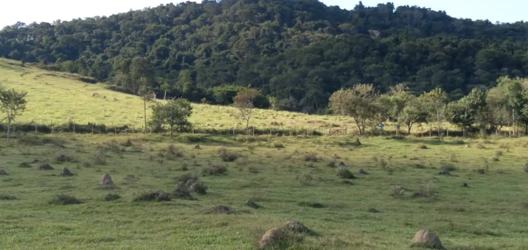 Fazenda à venda de 303 ha em Pouso Alegre, MG, Brasil