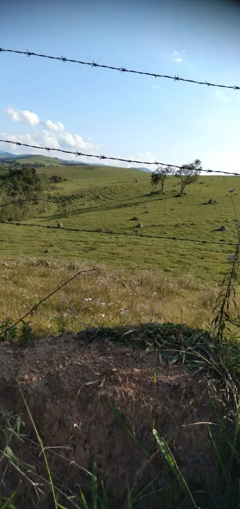 Fazenda à venda de 303 ha em Pouso Alegre, MG, Brasil