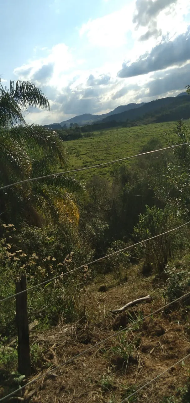 Fazenda à venda de 303 ha em Pouso Alegre, MG, Brasil