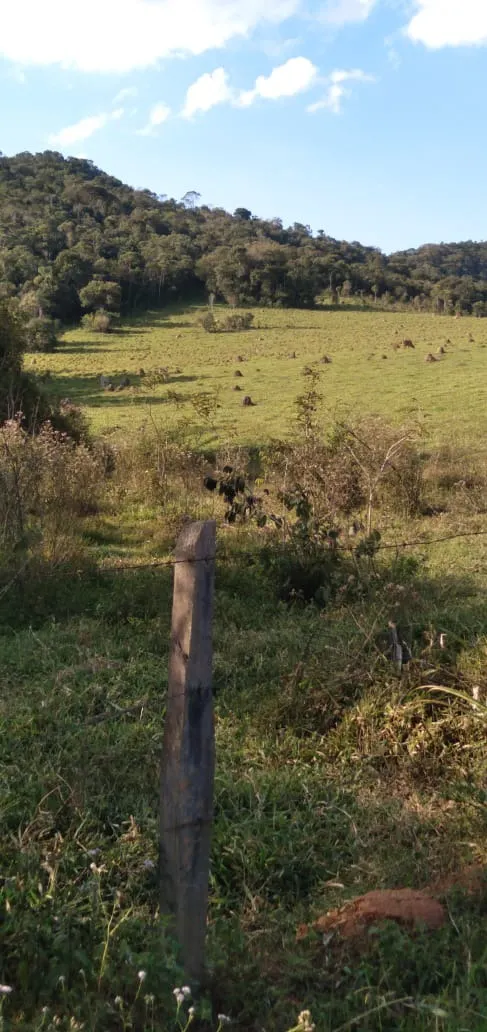 Fazenda à venda de 303 ha em Pouso Alegre, MG, Brasil