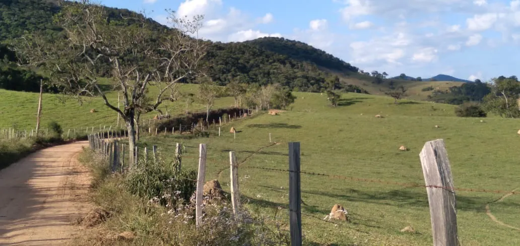 Fazenda à venda de 303 ha em Pouso Alegre, MG, Brasil