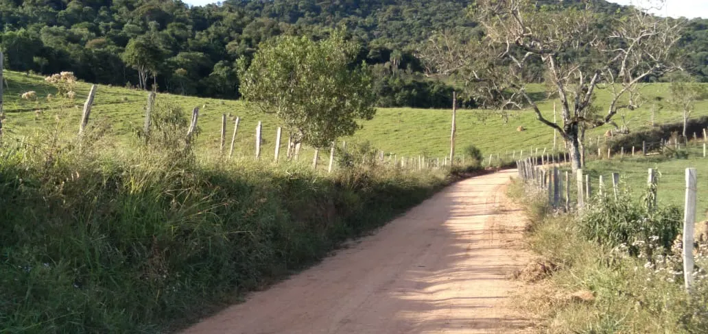 Fazenda à venda de 303 ha em Pouso Alegre, MG, Brasil