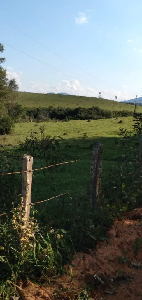 Fazenda à venda de 303 ha em Pouso Alegre, MG, Brasil