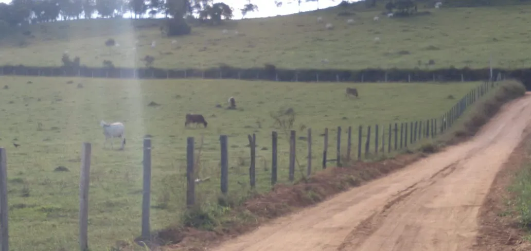 Fazenda à venda de 303 ha em Pouso Alegre, MG, Brasil