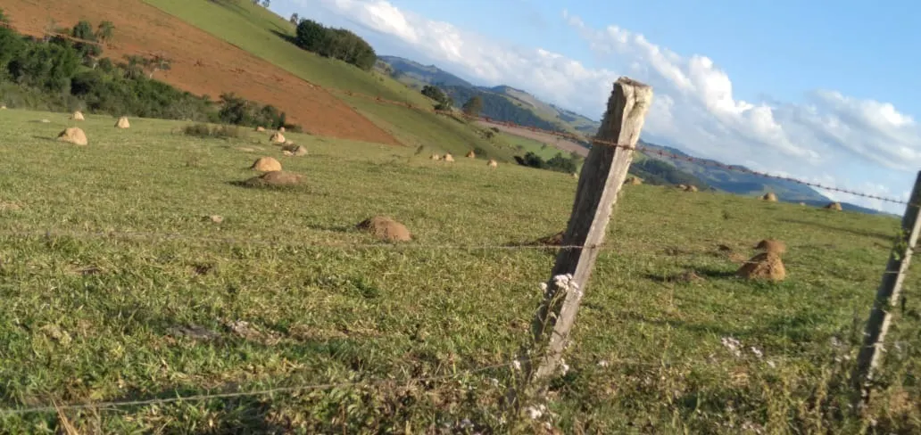 Fazenda à venda de 303 ha em Pouso Alegre, MG, Brasil
