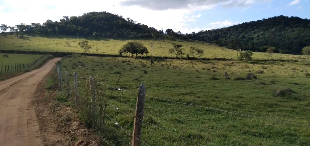 Fazenda à venda de 303 ha em Pouso Alegre, MG, Brasil
