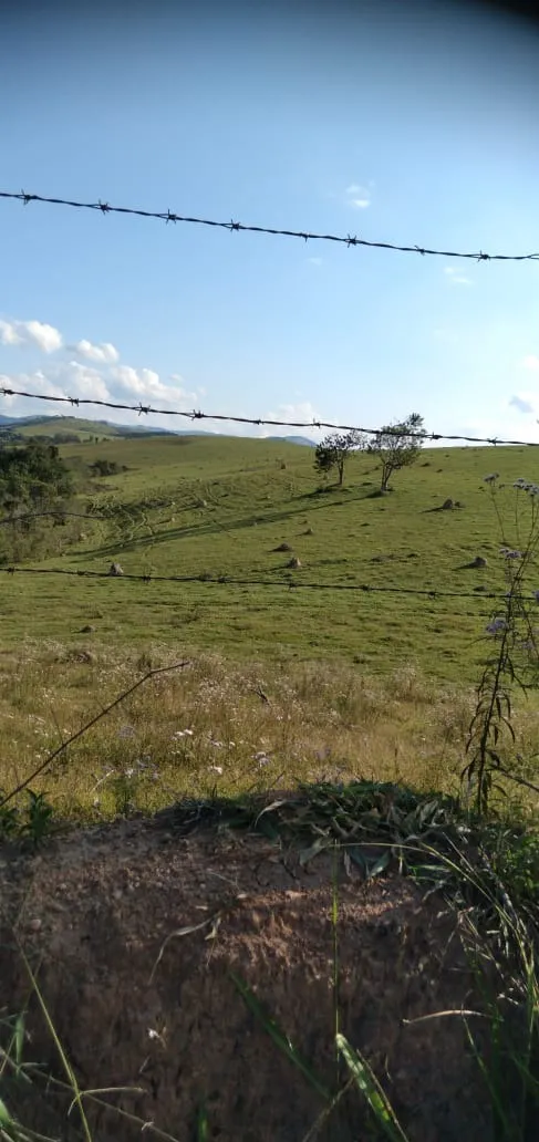 Fazenda à venda de 303 ha em Pouso Alegre, MG, Brasil