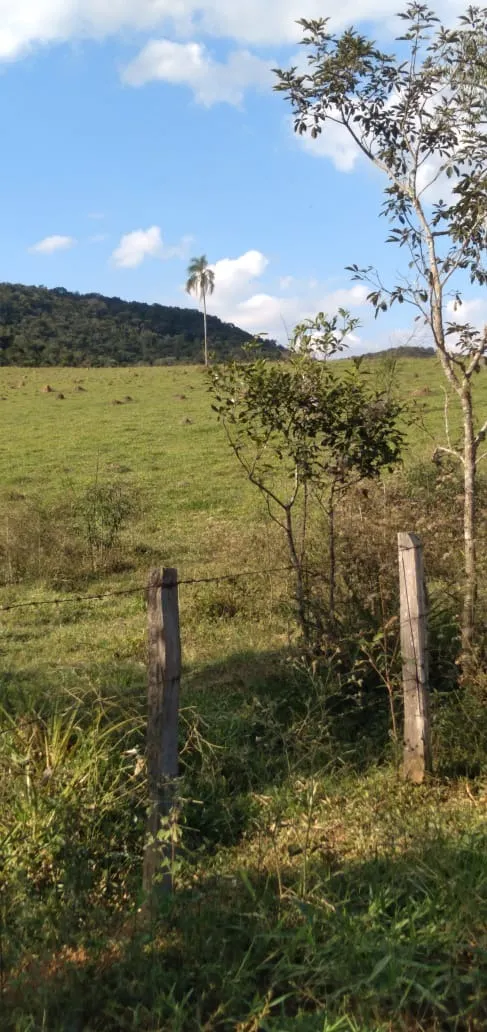 Fazenda à venda de 303 ha em Pouso Alegre, MG, Brasil