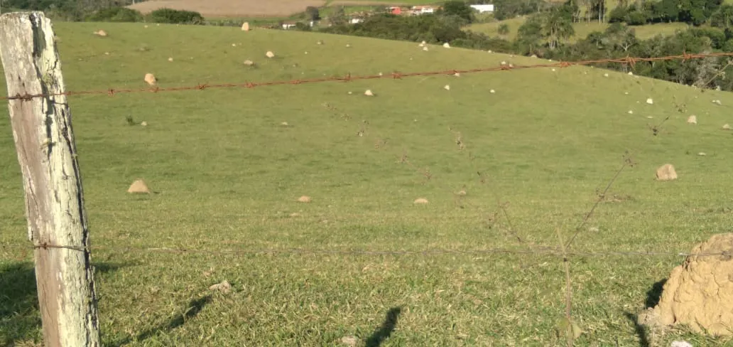 Fazenda à venda de 303 ha em Pouso Alegre, MG, Brasil