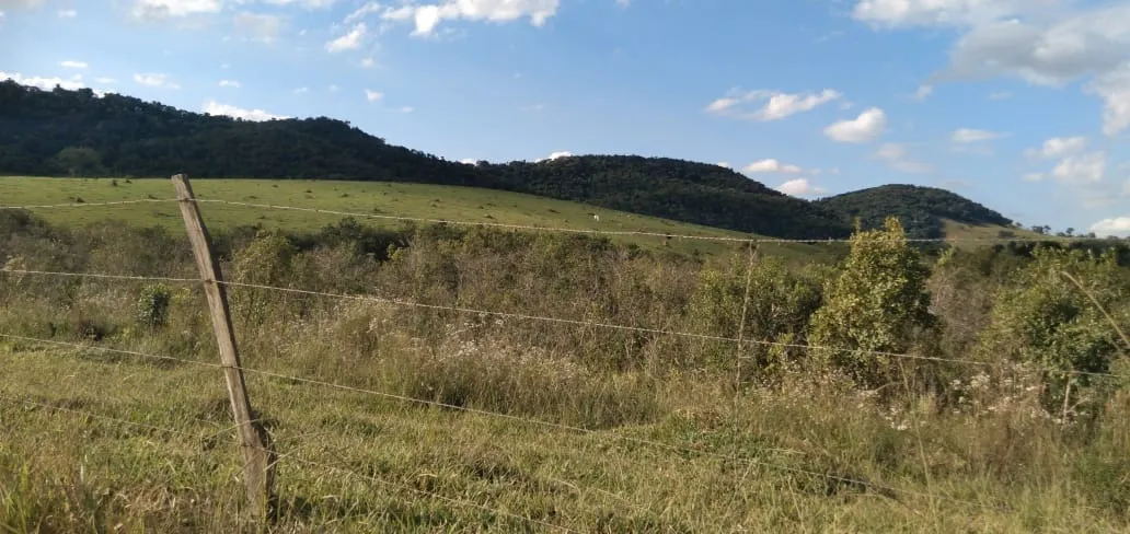 Fazenda à venda de 303 ha em Pouso Alegre, MG, Brasil