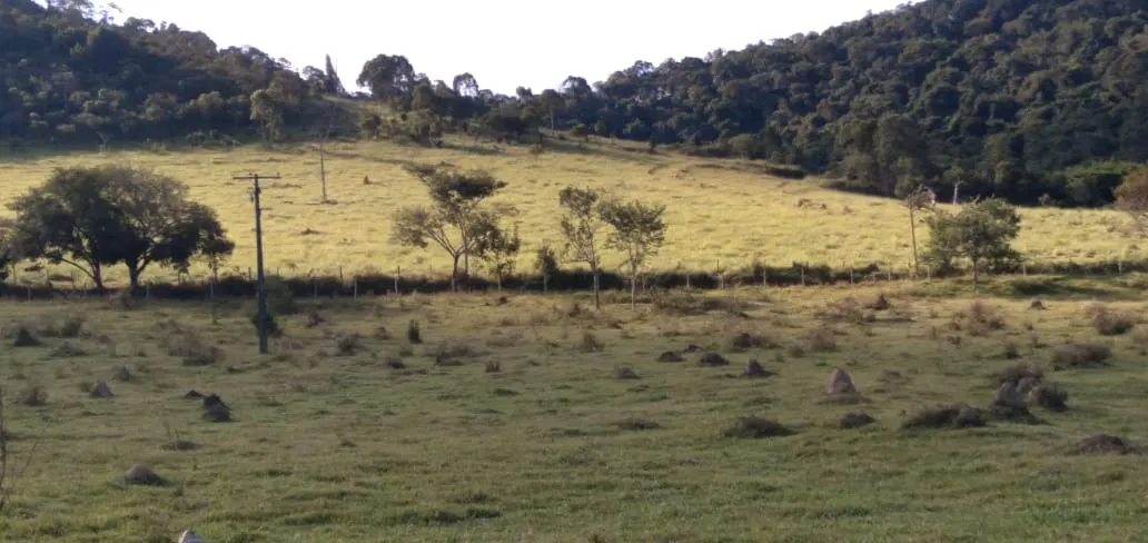 Fazenda à venda de 303 ha em Pouso Alegre, MG, Brasil