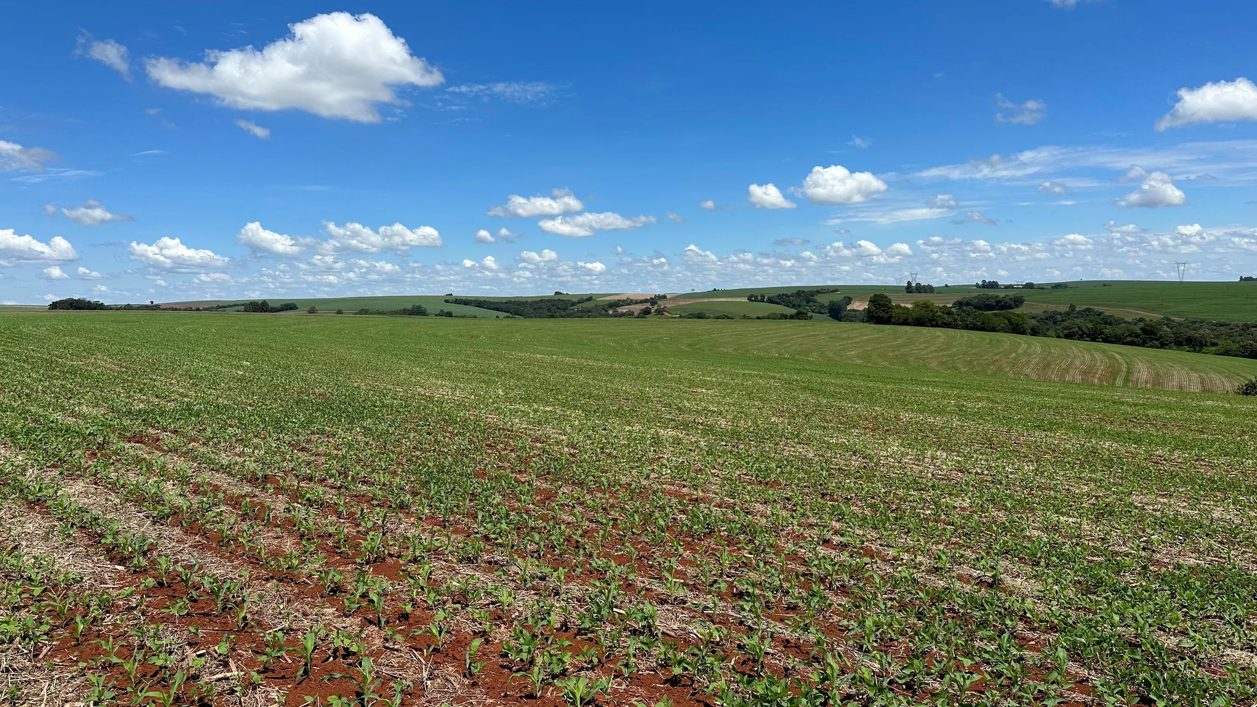 Fazenda à venda de 41 ha em Cascavel, PR, Brasil
