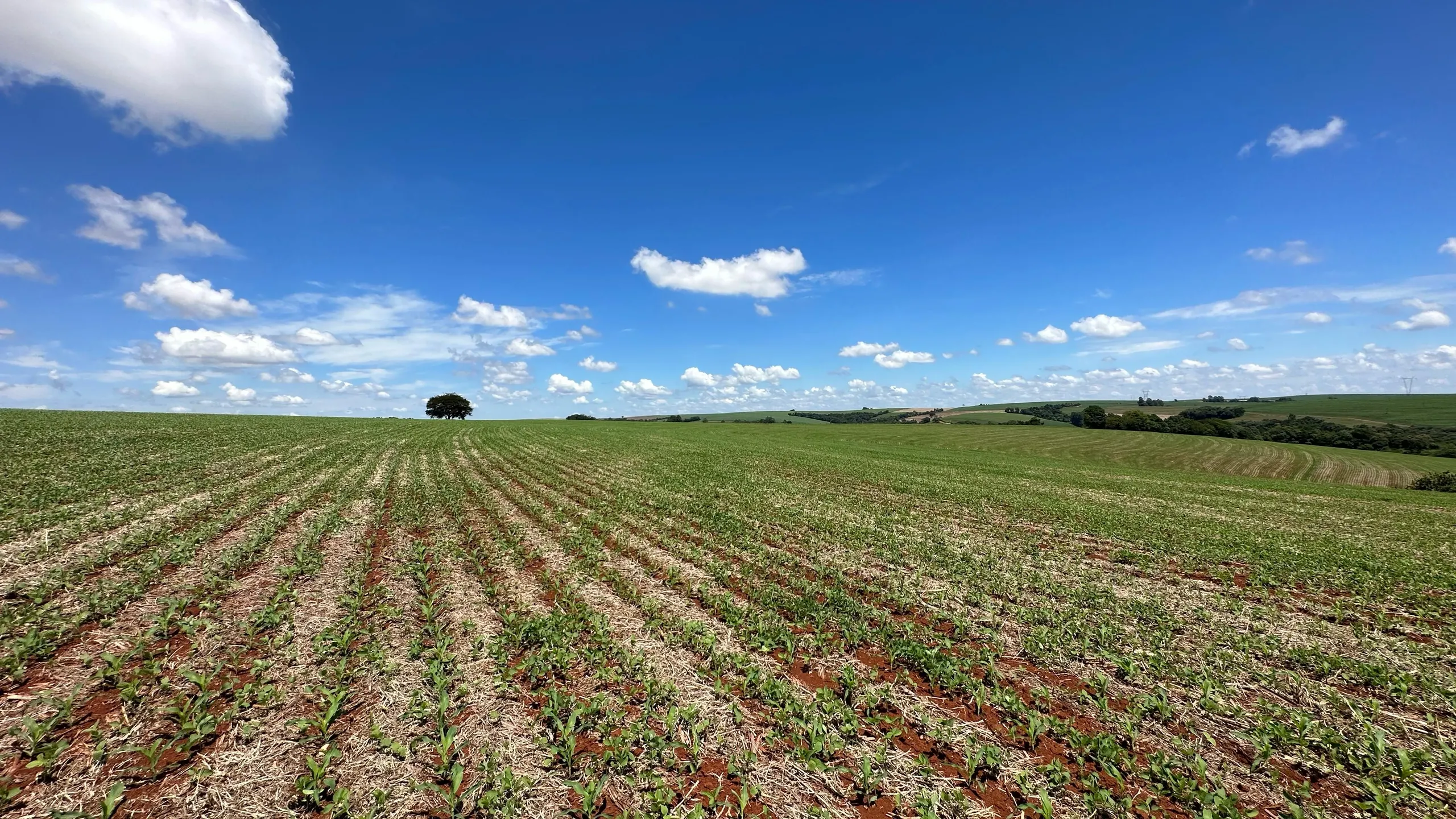 Fazenda à venda de 41 ha em Cascavel, PR, Brasil
