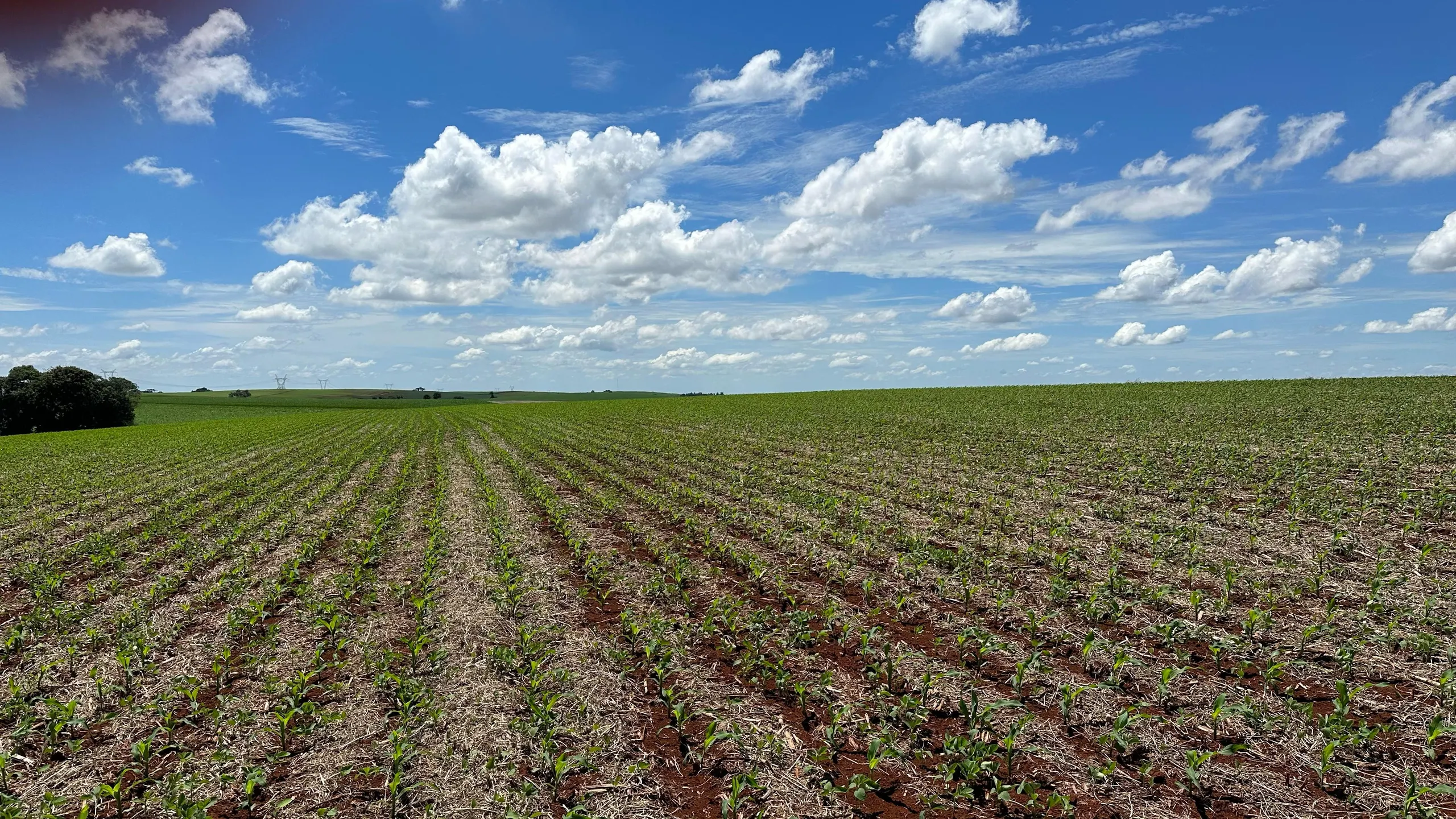 Fazenda à venda de 41 ha em Cascavel, PR, Brasil