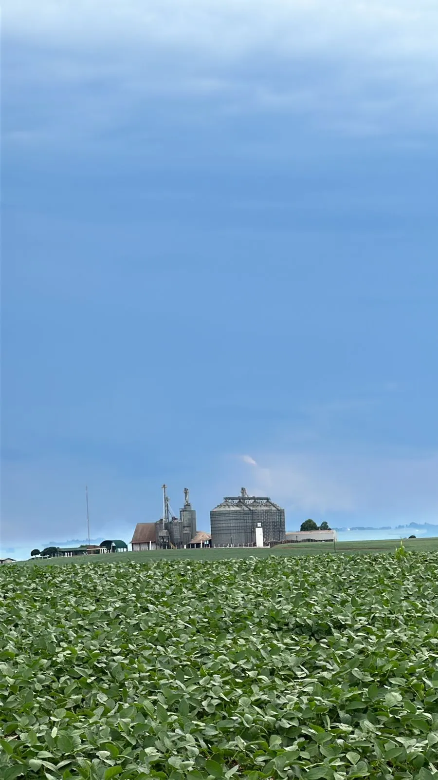 Fazenda à venda de 41 ha em Cascavel, PR, Brasil