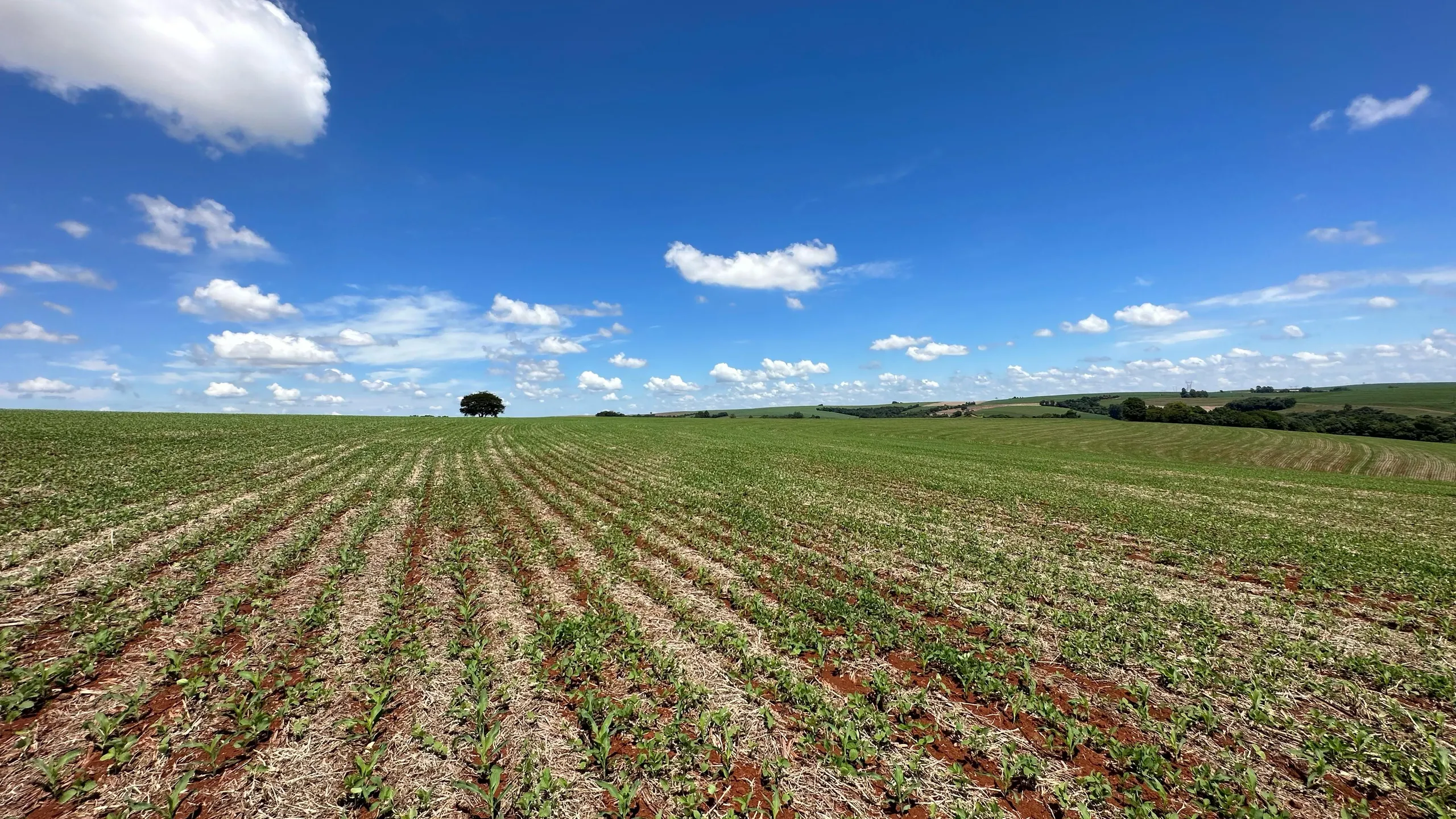 Fazenda à venda de 41 ha em Cascavel, PR, Brasil