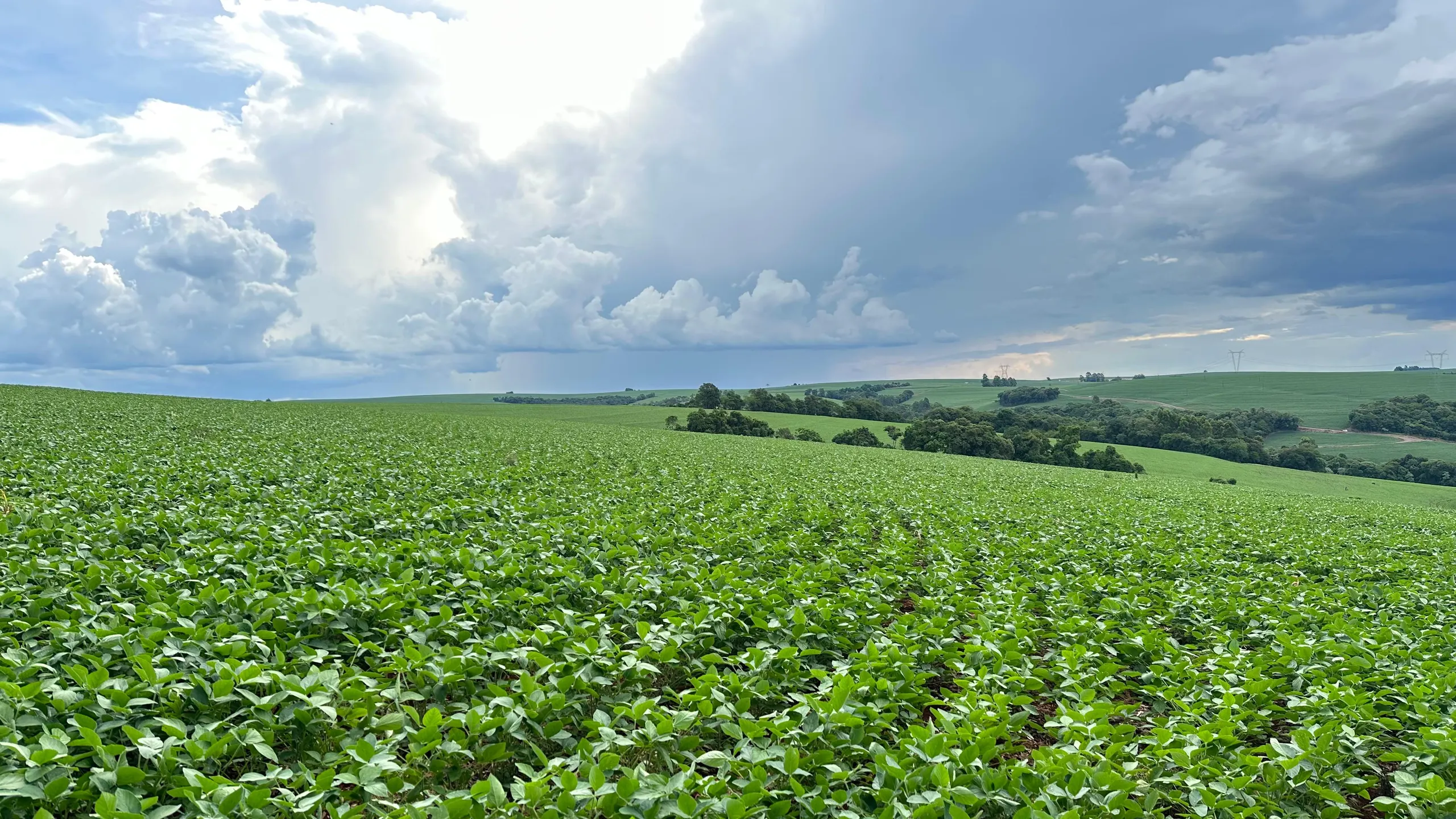 Fazenda à venda de 41 ha em Cascavel, PR, Brasil