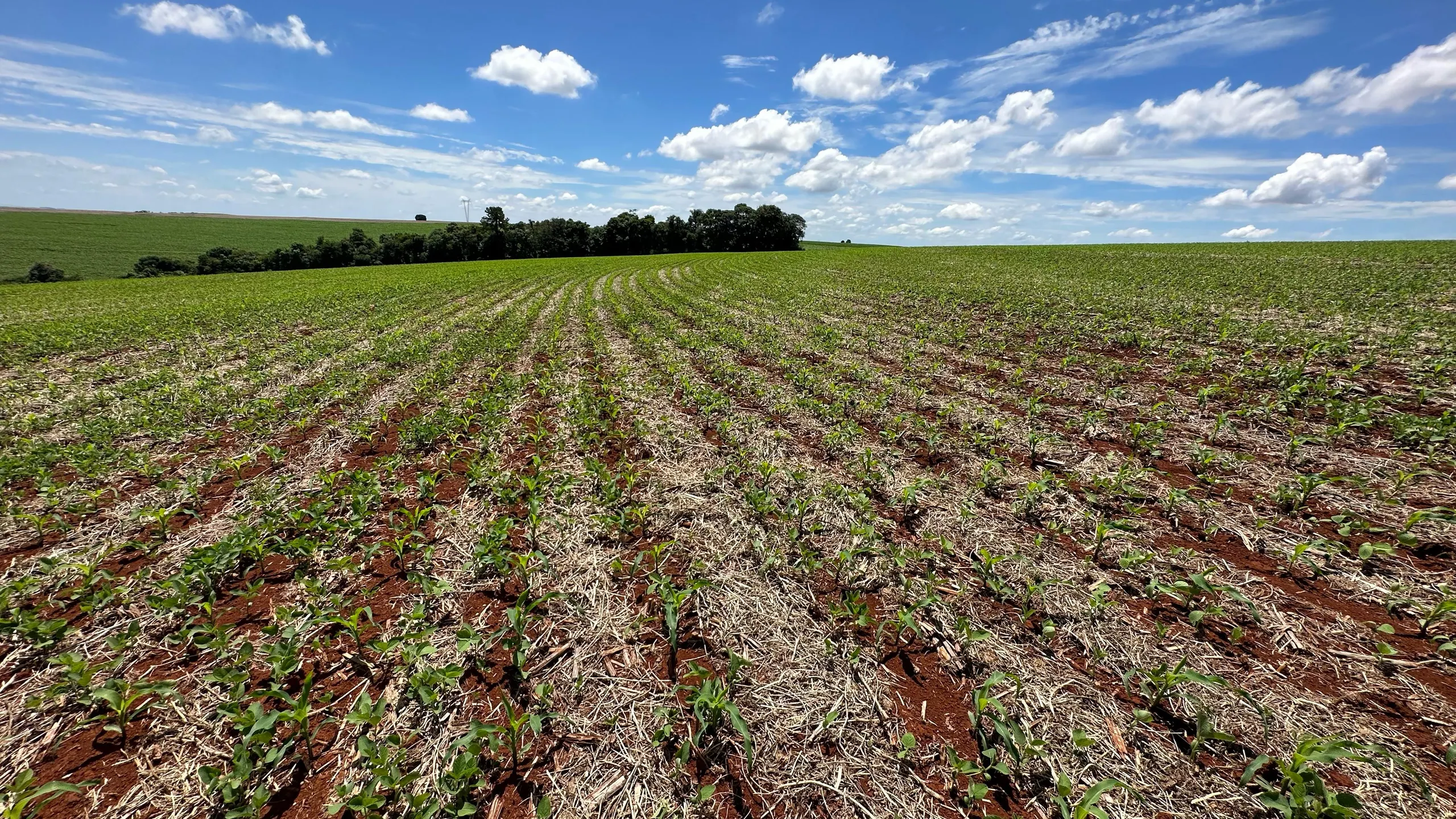 Fazenda à venda de 41 ha em Cascavel, PR, Brasil