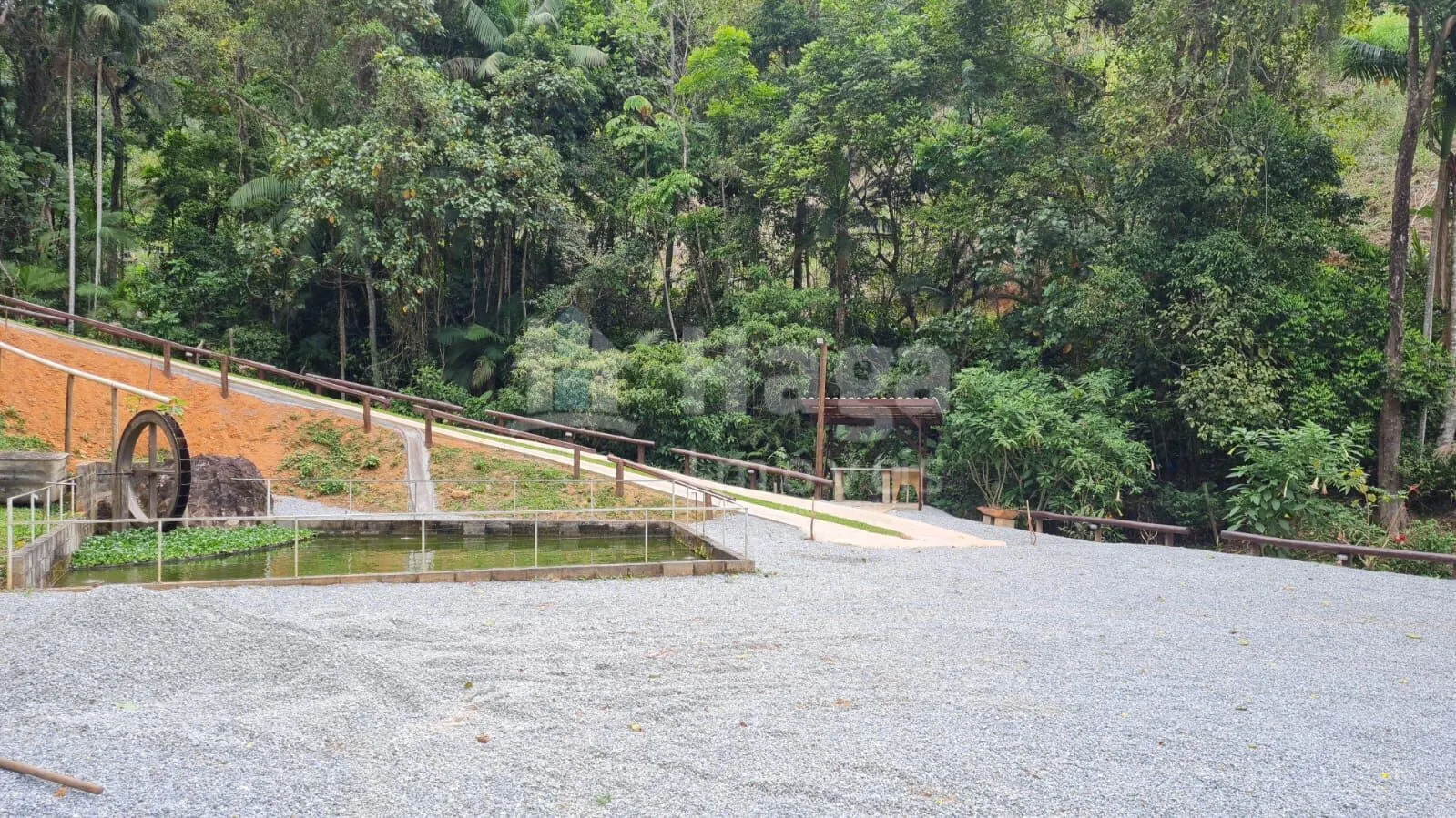 Chácara à venda e para Arrendar de 5.000 m² em Águas Mornas, SC, Brasil