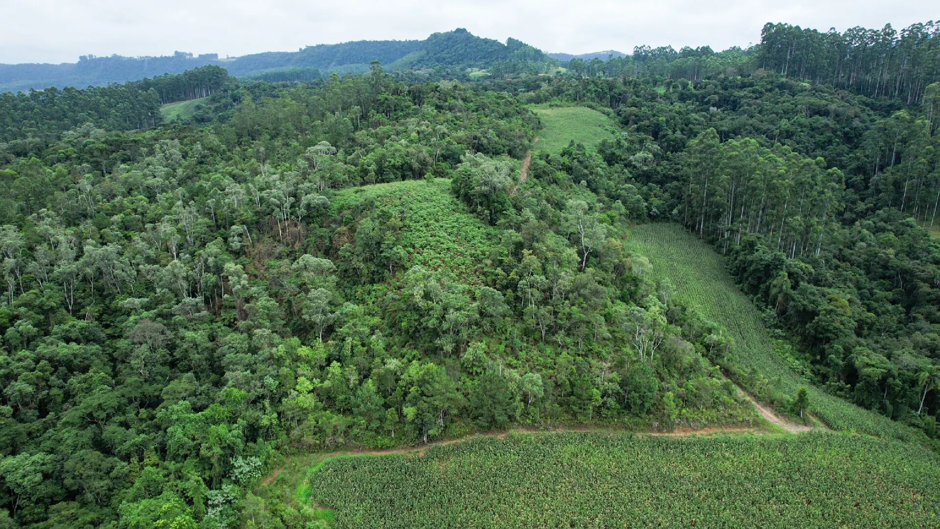 Terreno à venda de 2 ha em Vitor Meireles, SC, Brasil