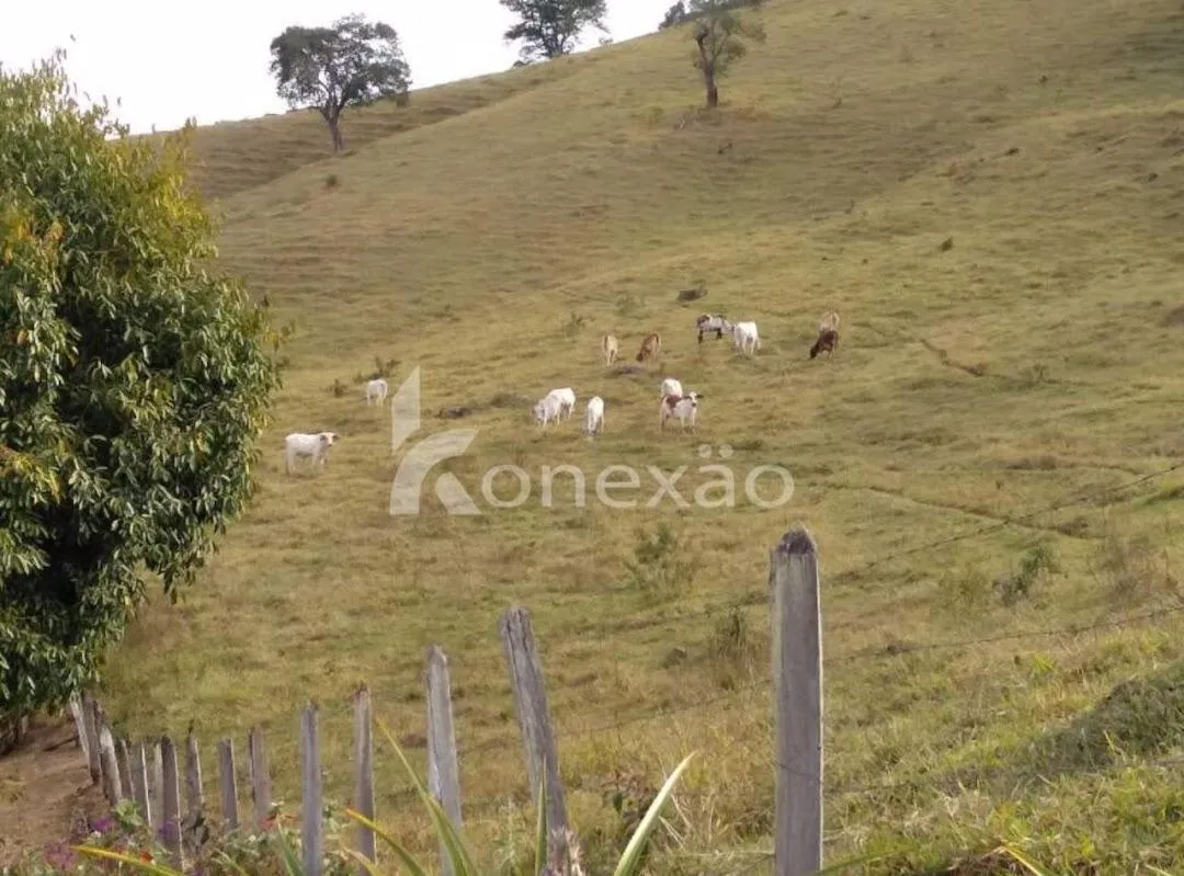Fazenda à venda de 150 ha em Silveiras, SP, Brasil