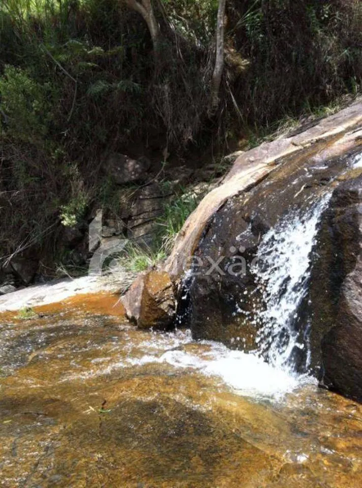 Fazenda à venda de 150 ha em Silveiras, SP, Brasil