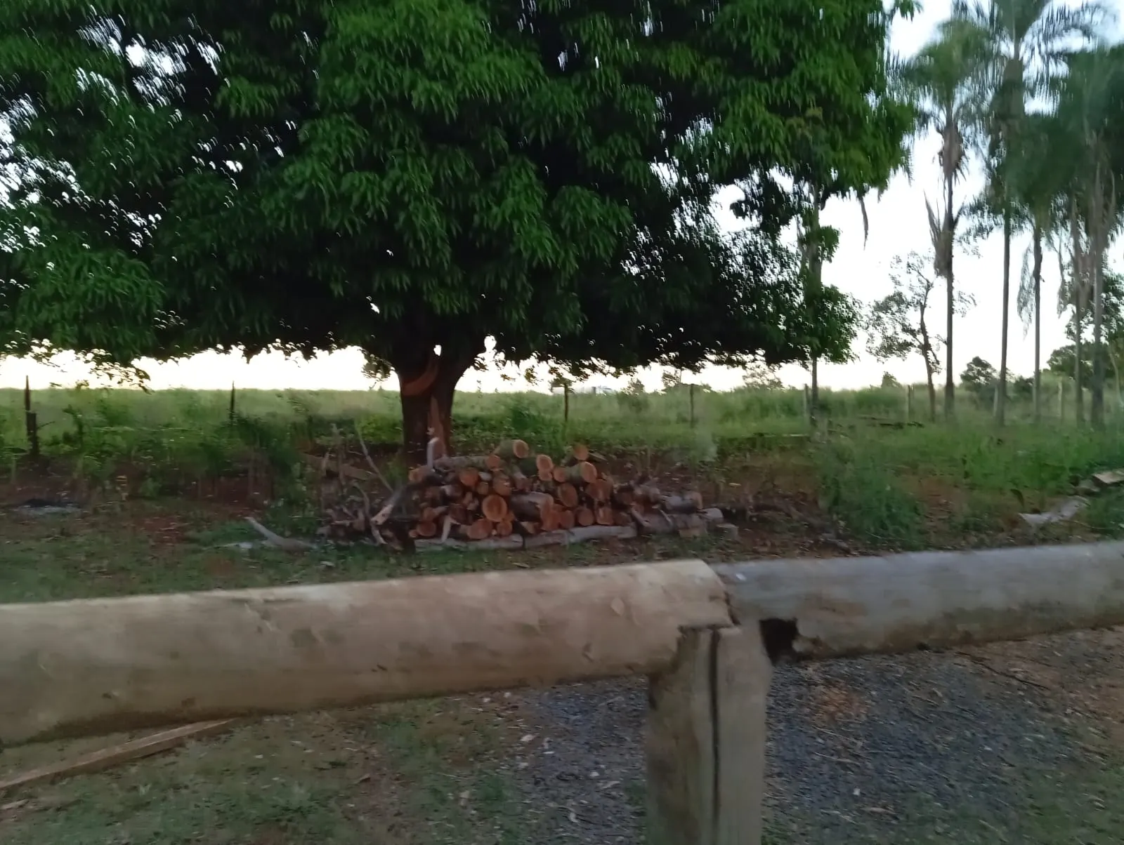 Sítio à venda de 12 ha em Paranaíba, MS, Brasil
