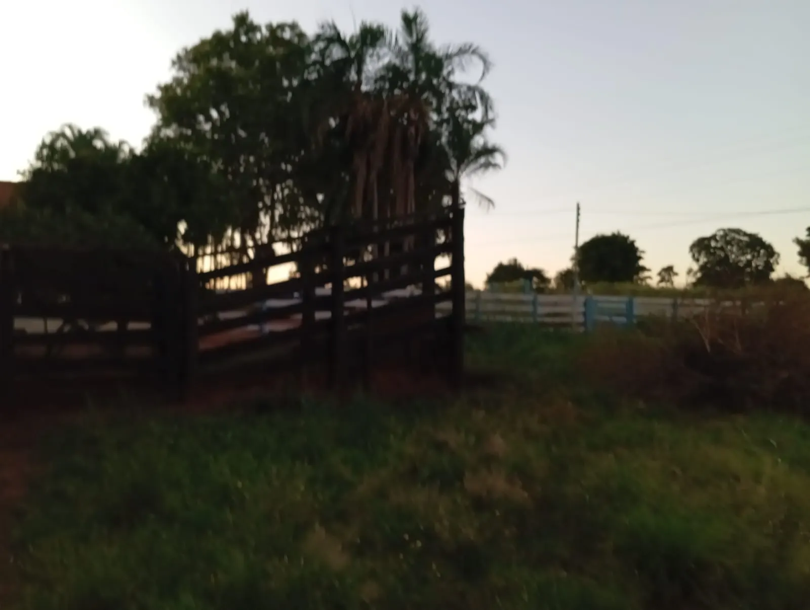 Sítio à venda de 12 ha em Paranaíba, MS, Brasil