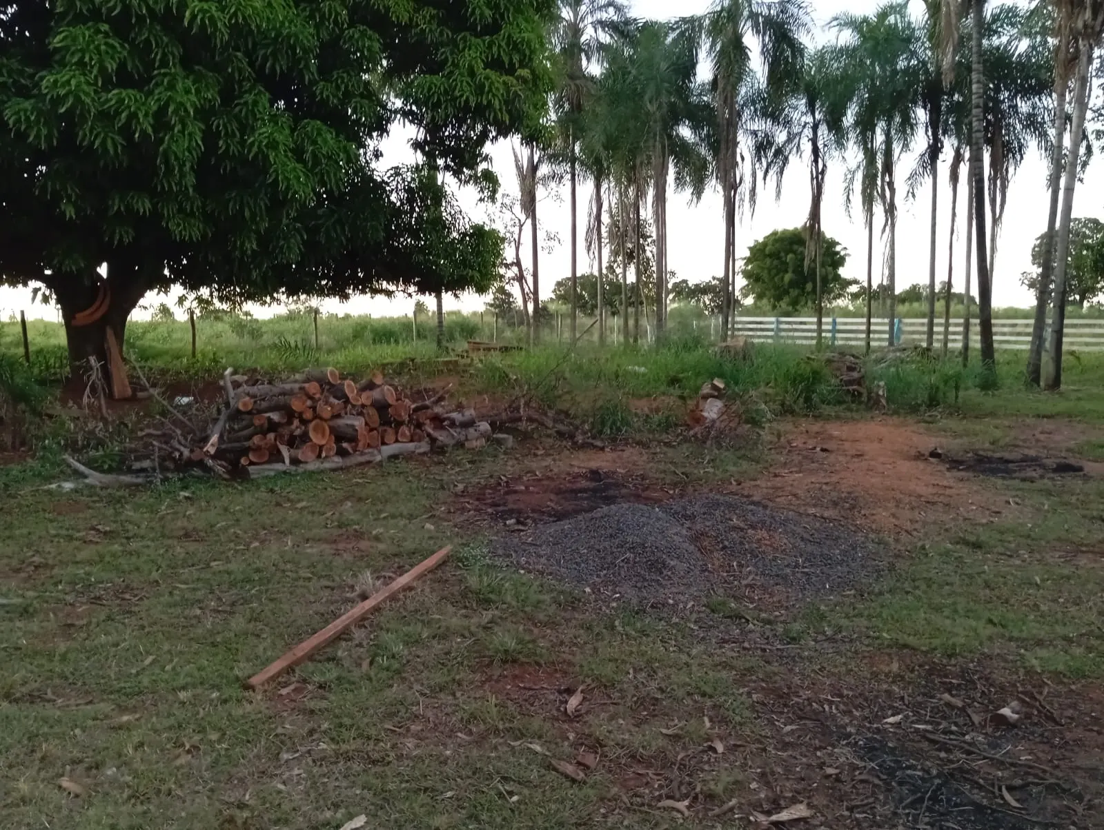 Sítio à venda de 12 ha em Paranaíba, MS, Brasil