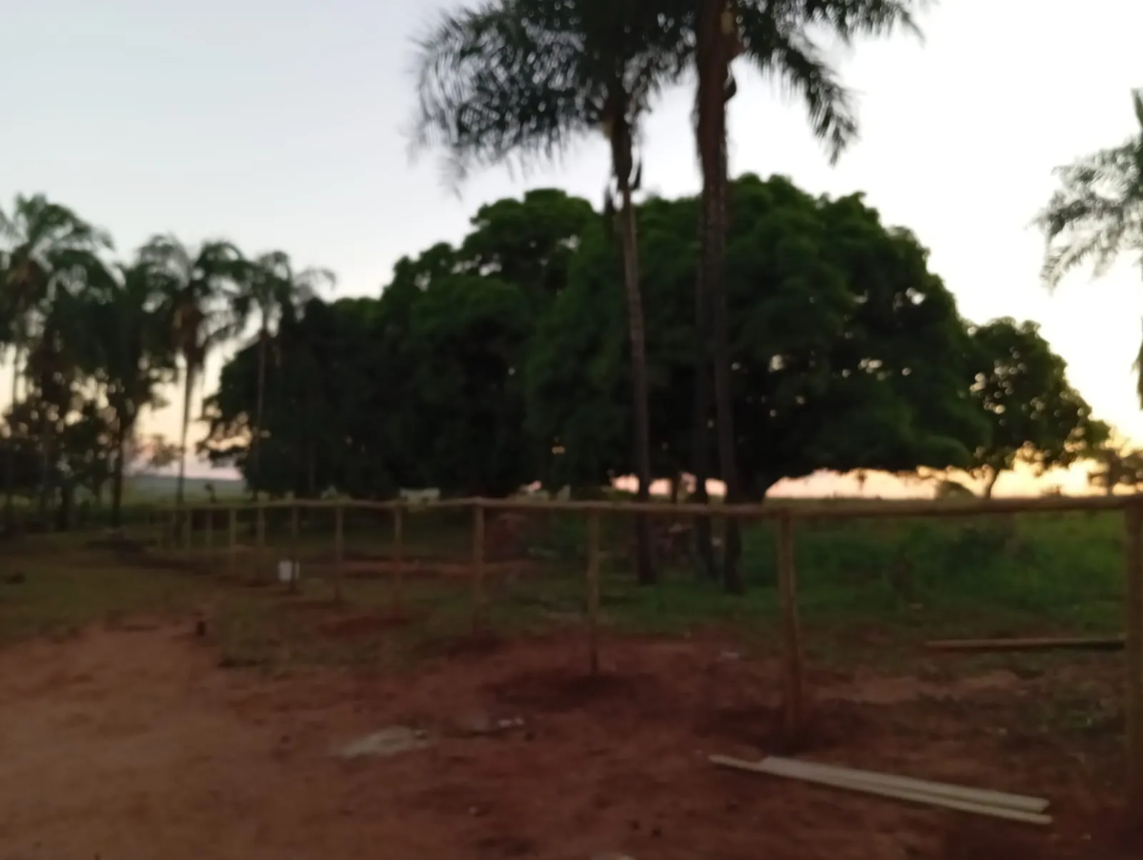 Sítio à venda de 12 ha em Paranaíba, MS, Brasil