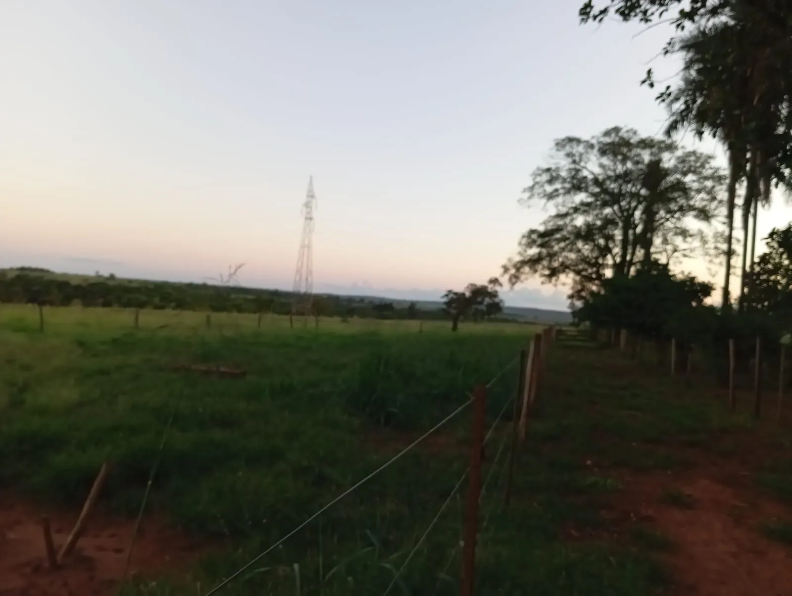 Sítio à venda de 12 ha em Paranaíba, MS, Brasil