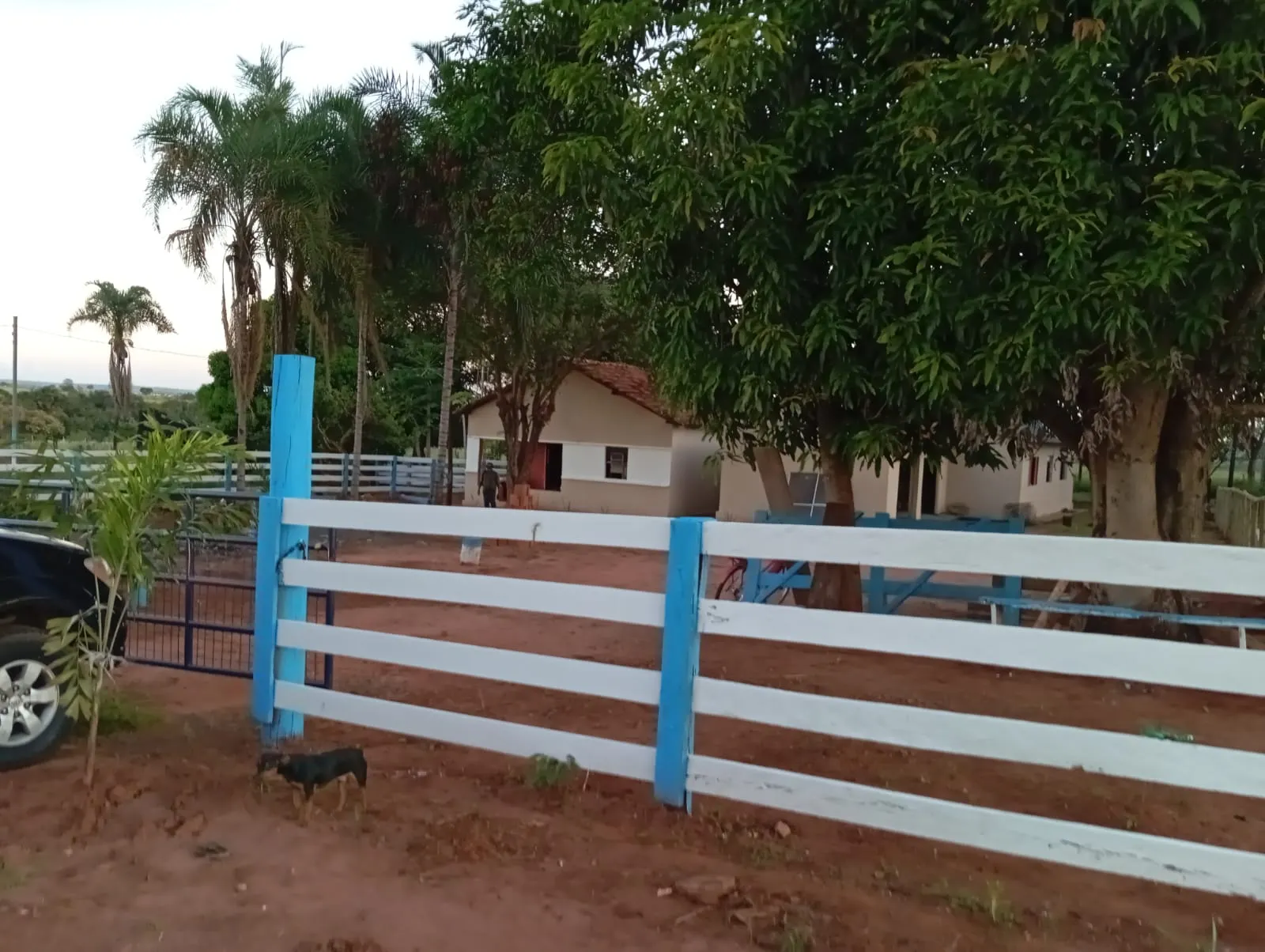 Sítio à venda de 12 ha em Paranaíba, MS, Brasil